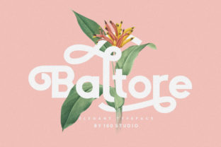 Baltore: A Font for Clear Campaigns